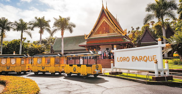 Tenerife: Loro Parque & Siam Park Entry Ticket with Transfer