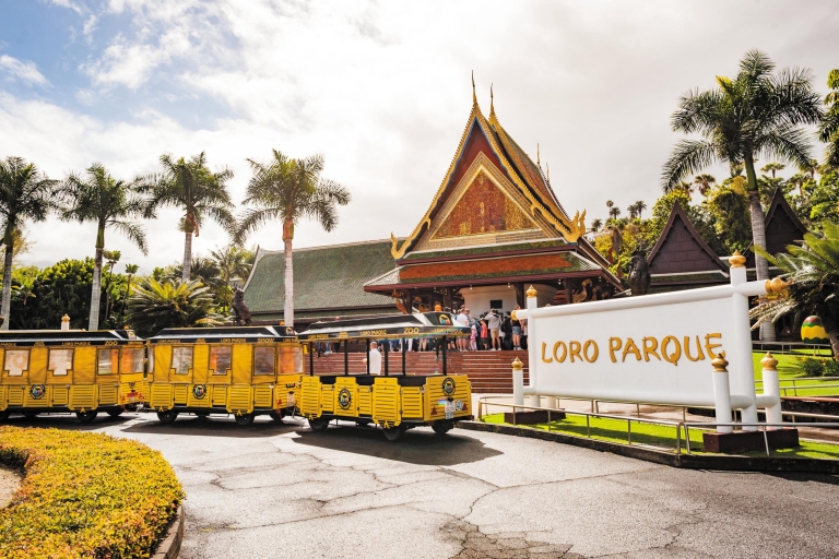 Vanuit Zuid-Tenerife: bus + tickets Loro Parque en Siam Park