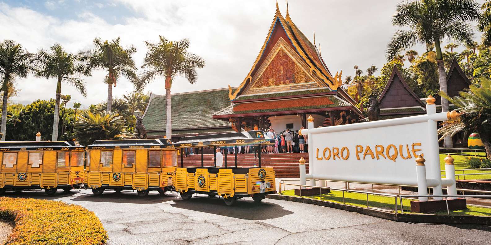 Tenerife: Loro Parque & Siam Park Entry Ticket with Transfer