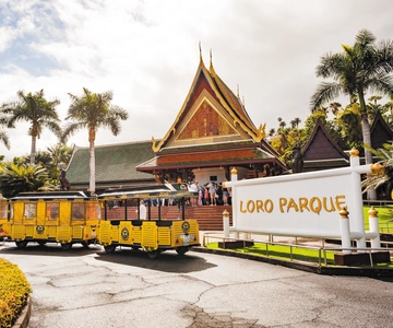 Tenerife: Loro Parque & Siam Park Entry Ticket with Transfer