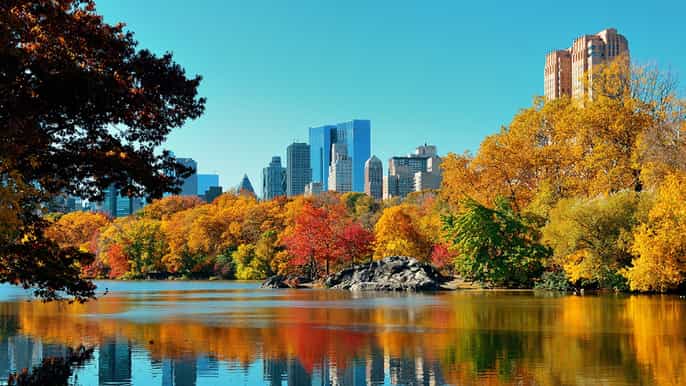 new york 2hour best of central park walking tour