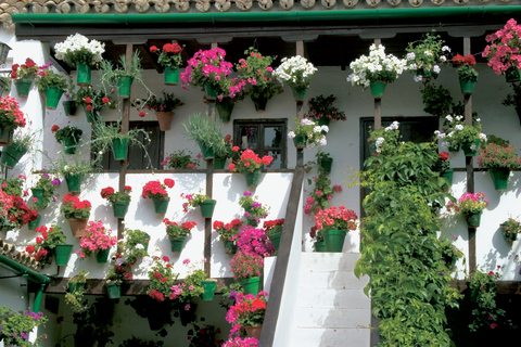 Cordoba's Authentic Patios: 2-Hour Tour with Tickets