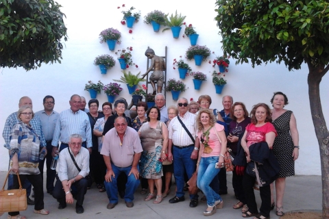 Autentyczne Patia w Kordobie: 2-godzinna wycieczka z biletami