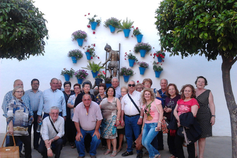 Cordoba&#039;s Authentic Patios: 2-Hour Tour with TicketsTour in Spanish