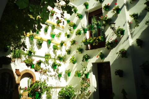 Cordoba's Authentic Patios: 2-Hour Tour with Tickets