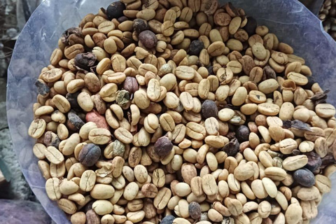 Higuey discovery, coffee and cocoa tasting from punta cana