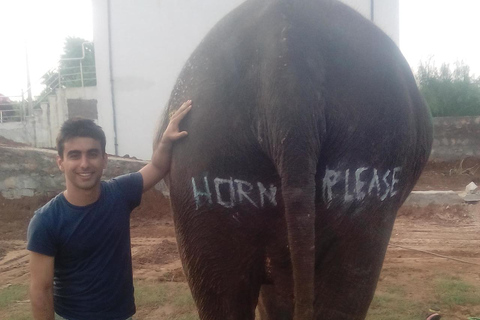 Jaipur: Hathi Gaon Elephant Riding Painting-Feeding Activity Photography with Elephant