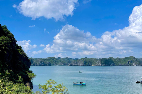 Hanoi/Catba: 2-Day Adventure Cat Ba National Park,Lan Ha Bay From Hanoi: 2-Day Adventure