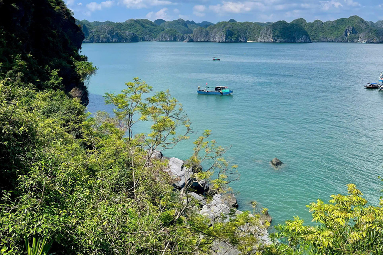 Hanoi/Catba: 2-Day Adventure Cat Ba National Park,Lan Ha Bay From Hanoi: 2-Day Adventure
