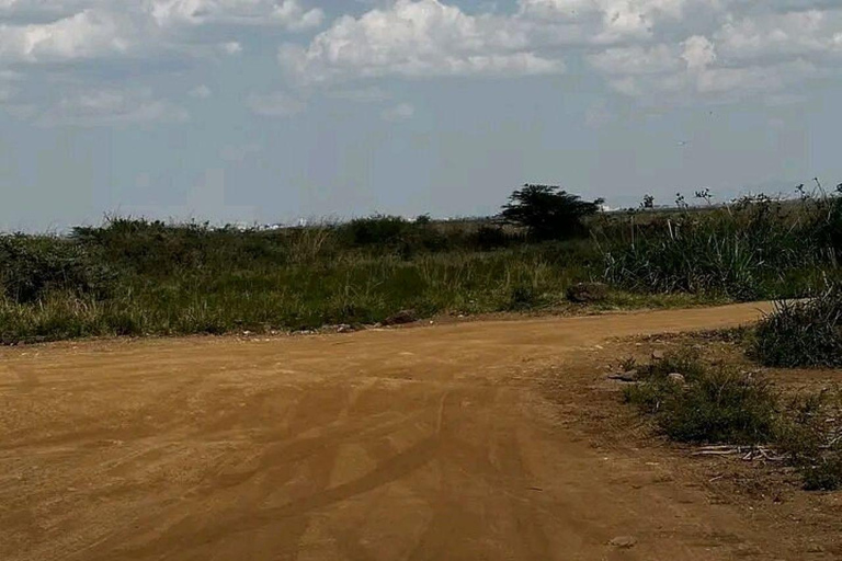Nairobi National Park: Early Morning or afternoon adventure Early morning game drive in a Landcruiser JEEP