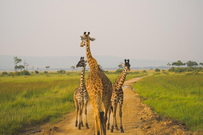 4 jours de bonheur safari en TanzanieVisite guidée en anglais