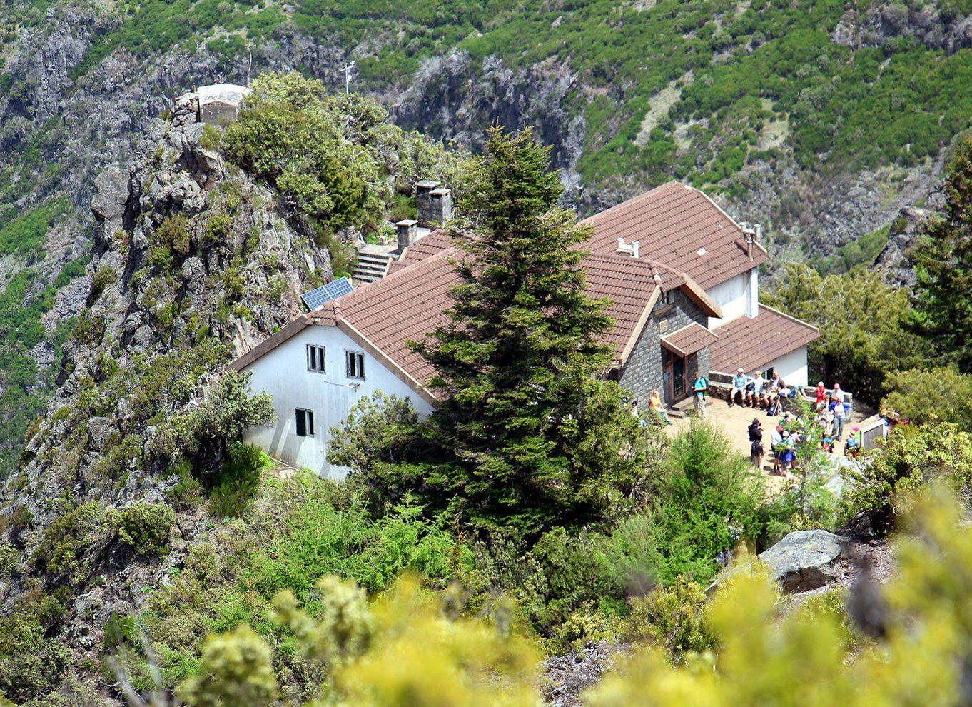 Fra Funchal: Madeira Peaks Mountain Walk