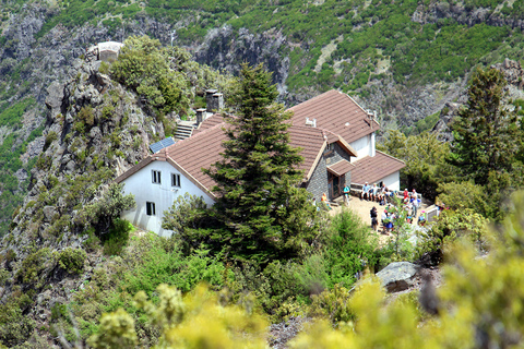 Ab Funchal: Wanderung zu den Gipfeln MadeirasAb Funchal: Private Madeira Berg-Wanderung