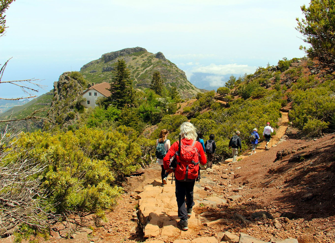 Fra Funchal: Madeira Peaks Mountain Walk