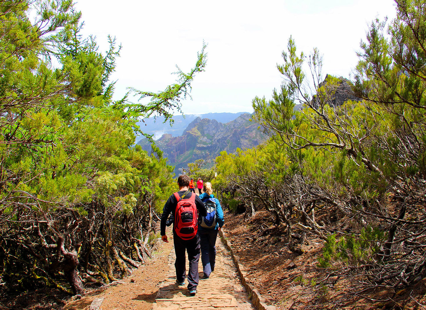 Fra Funchal: Madeira Peaks Mountain Walk