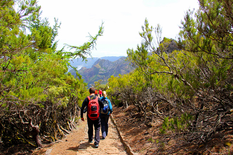 Vanuit Funchal: bergwandeling langs toppen van MadeiraPrivéwandeling langs de toppen van de Madeira