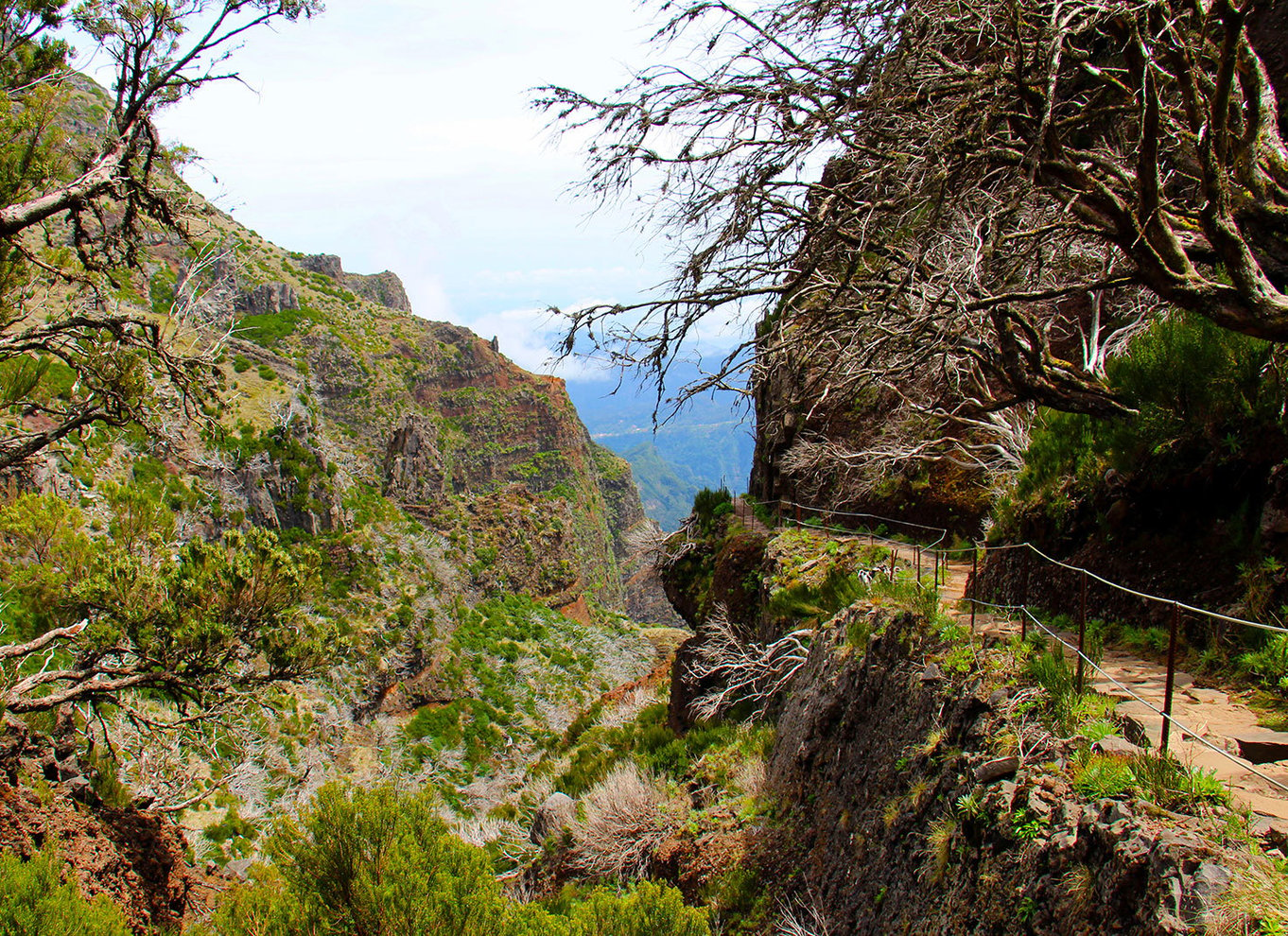 Fra Funchal: Madeira Peaks Mountain Walk