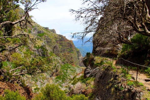 Ab Funchal: Wanderung zu den Gipfeln MadeirasAb Funchal: Private Madeira Berg-Wanderung