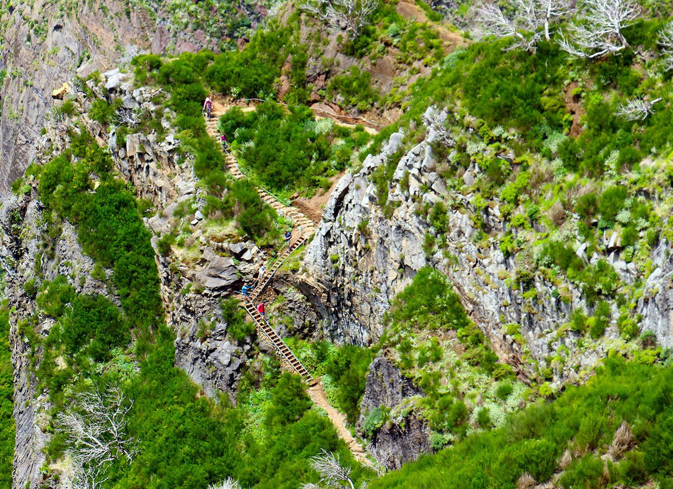 Fra Funchal: Madeira Peaks Mountain Walk