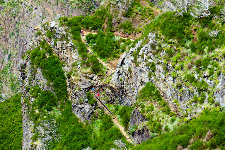 From Funchal: Madeira Peaks Mountain Walk Madeira Peaks Mountain Walk