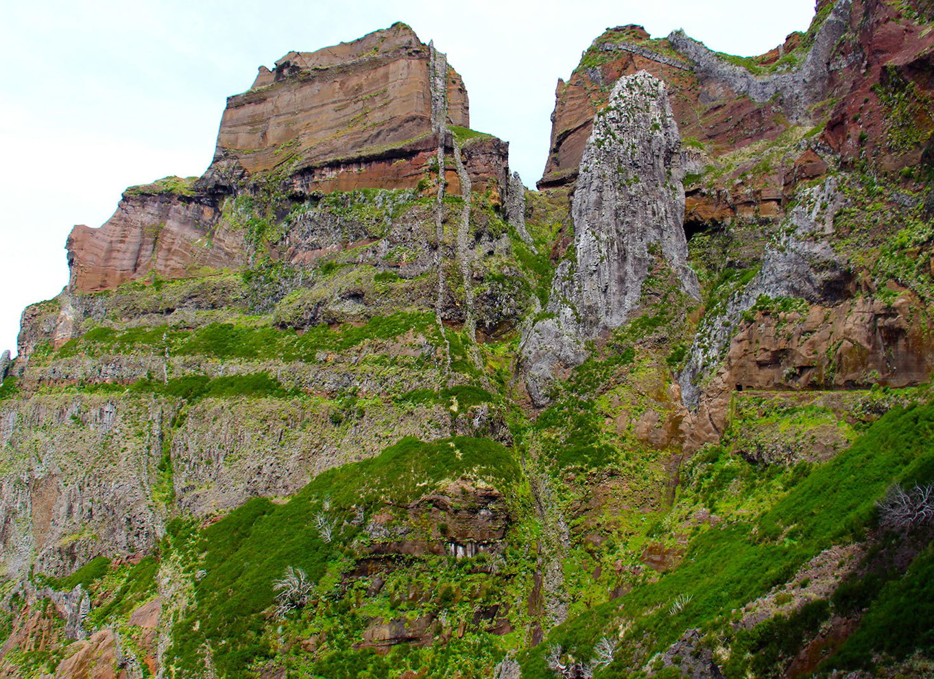 Fra Funchal: Madeira Peaks Mountain Walk