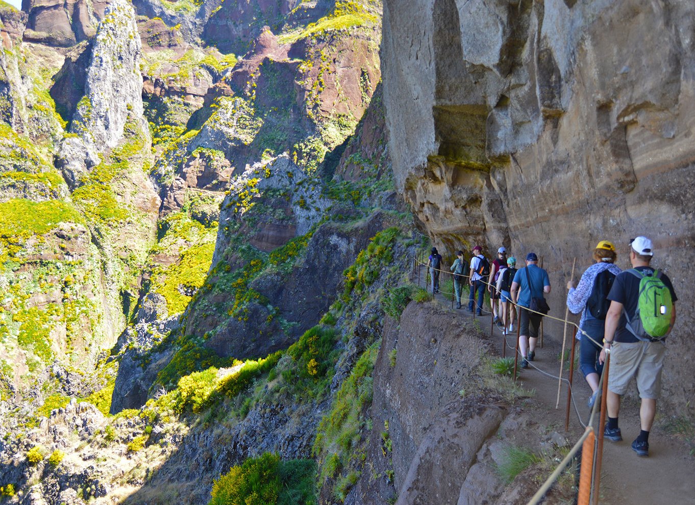 Fra Funchal: Madeira Peaks Mountain Walk