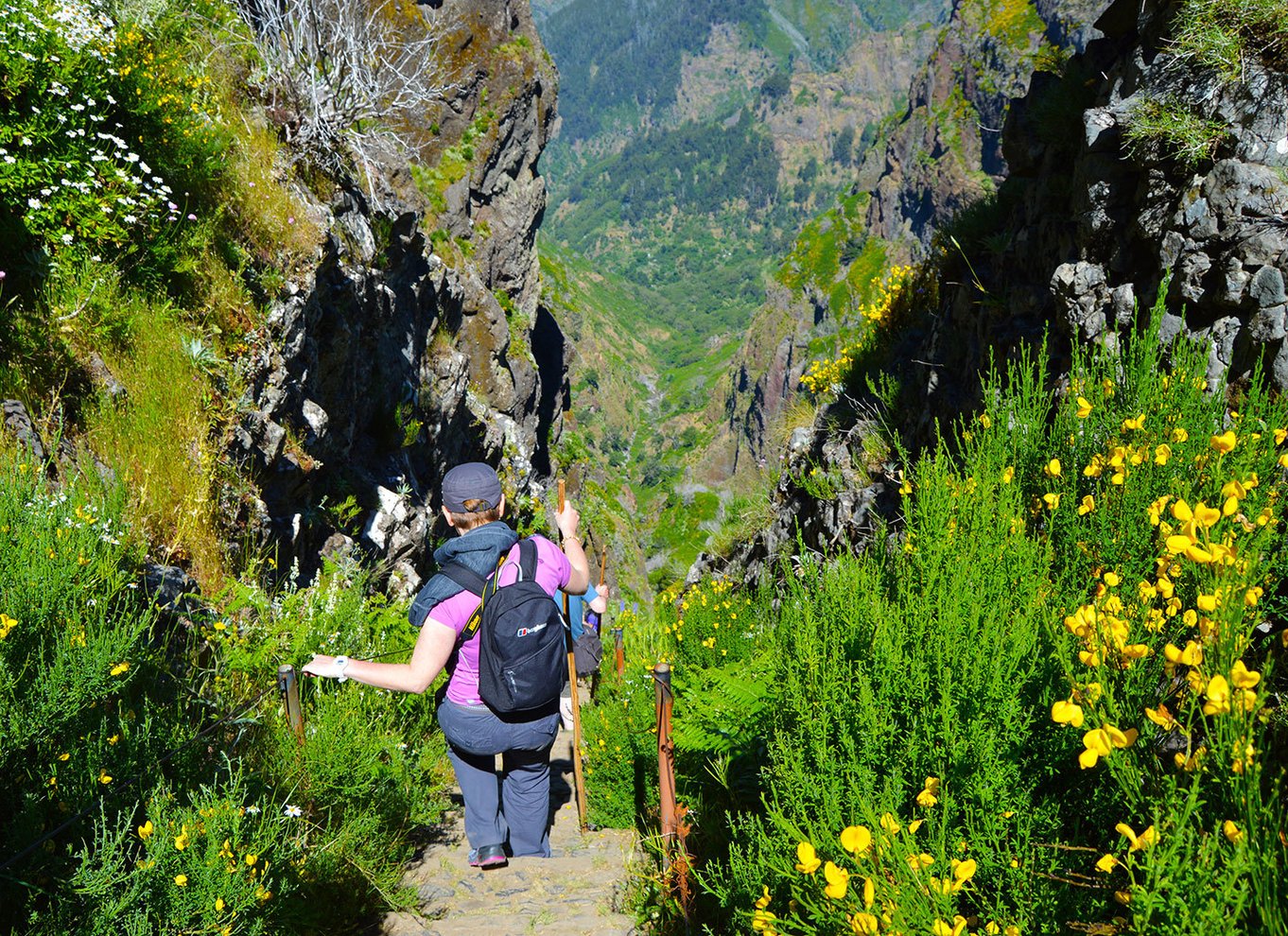 Fra Funchal: Madeira Peaks Mountain Walk