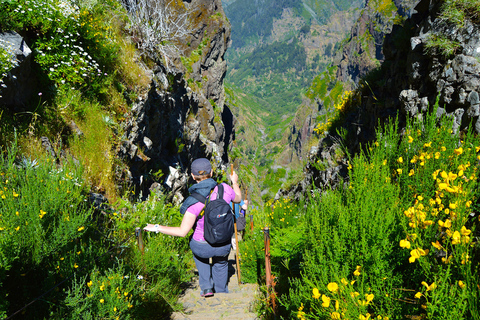 From Funchal: Madeira Peaks Mountain WalkPrivate Madeira Peaks Mountain Walk