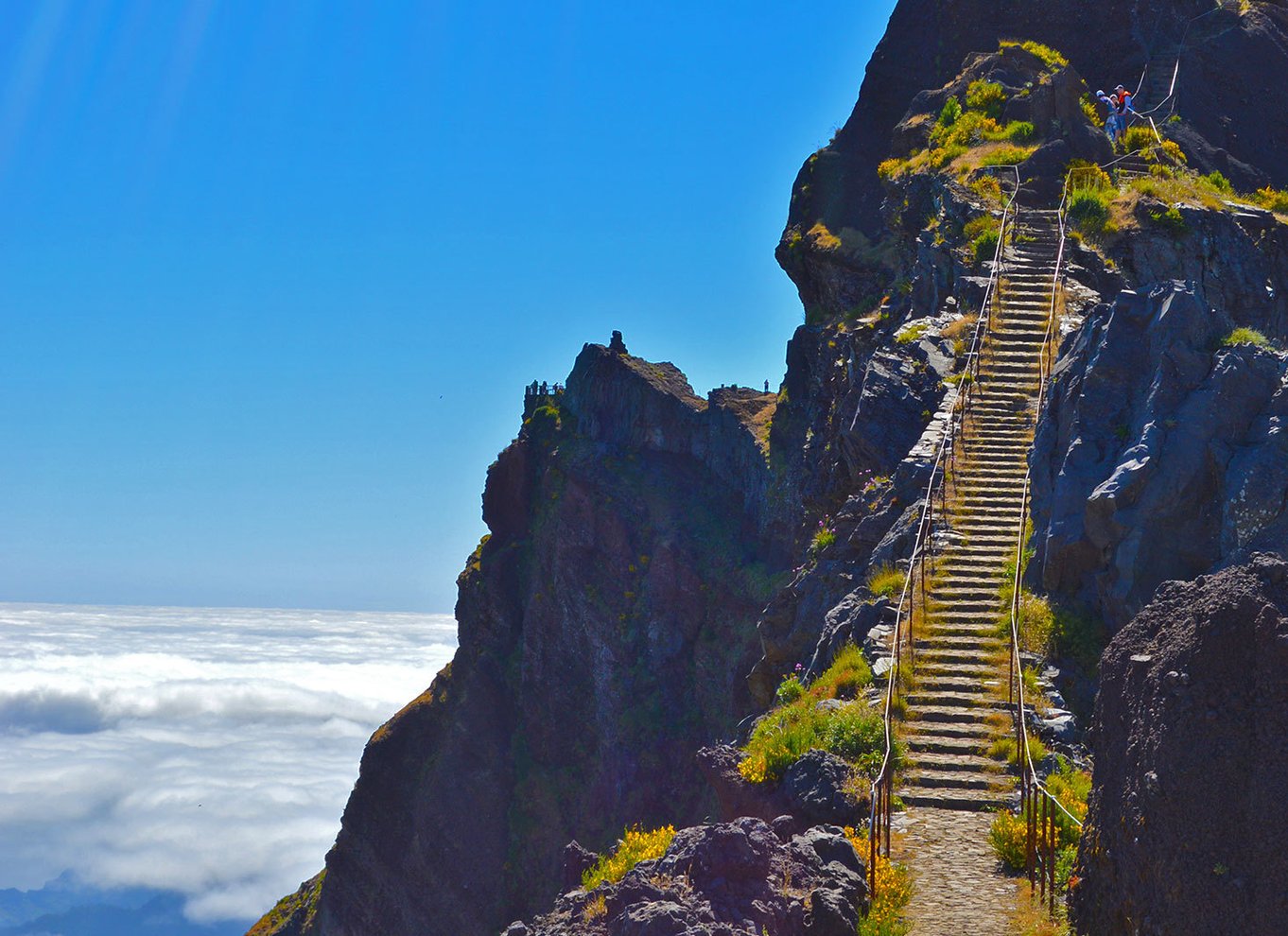 Fra Funchal: Madeira Peaks Mountain Walk