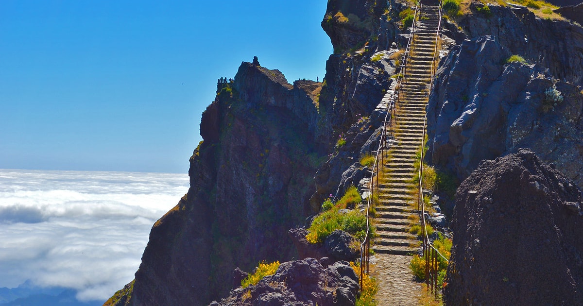 From Funchal Madeira Peaks Mountain Walk GetYourGuide