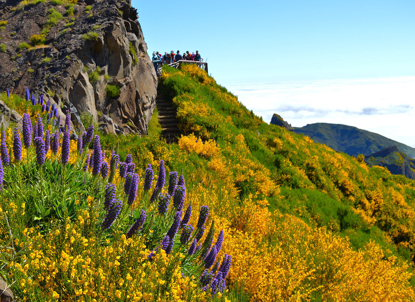 Fra Funchal: Madeira Peaks Mountain Walk