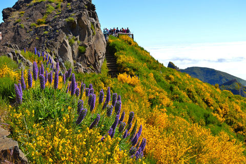 Vanuit Funchal: bergwandeling langs toppen van MadeiraPrivéwandeling langs de toppen van de Madeira