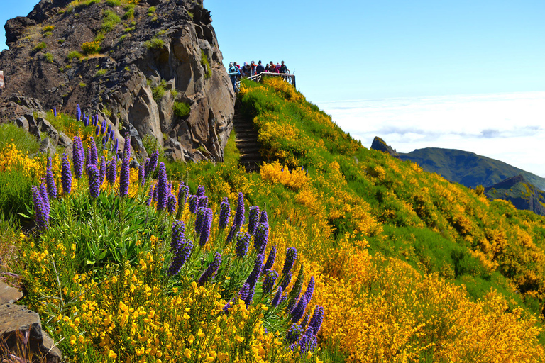 From Funchal: Madeira Peaks Mountain Walk Private Madeira Peaks Mountain Walk