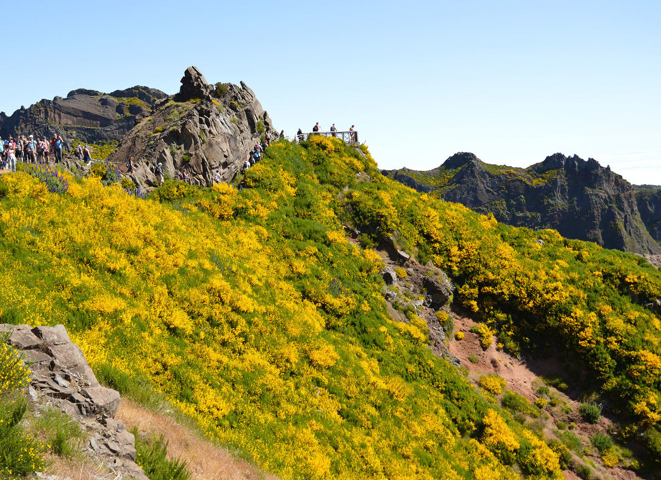 Fra Funchal: Madeira Peaks Mountain Walk