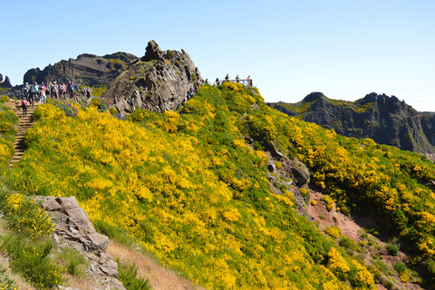 Ab Funchal: Wanderung zu den Gipfeln MadeirasAb Funchal: Private Madeira Berg-Wanderung