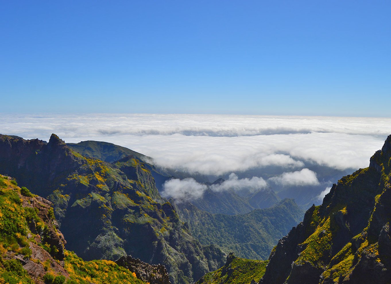 Fra Funchal: Madeira Peaks Mountain Walk