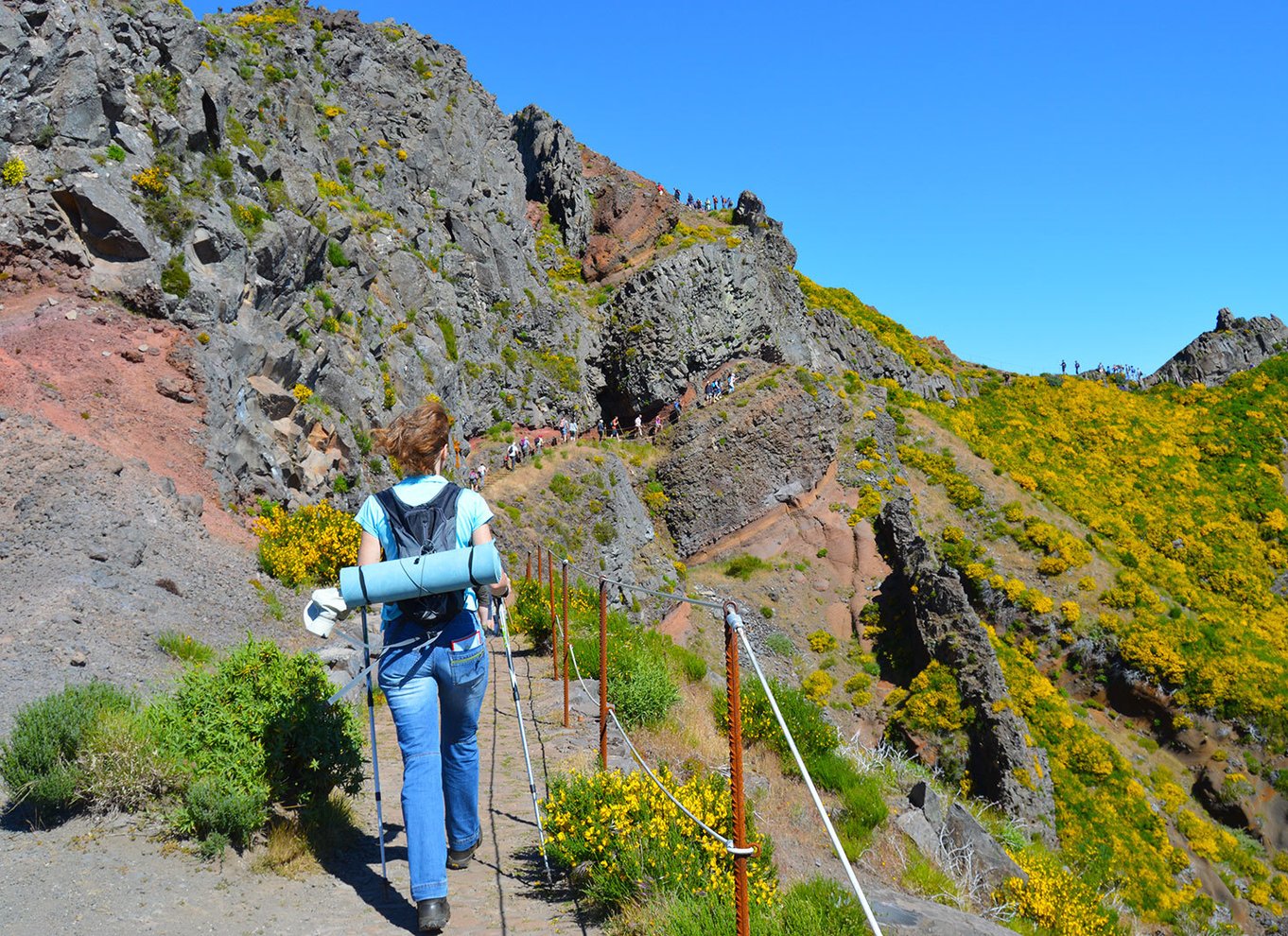 Fra Funchal: Madeira Peaks Mountain Walk