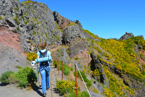 Från Funchal: Vandring i bergen på Madeira PeaksPrivat vandring på Madeira Peaks