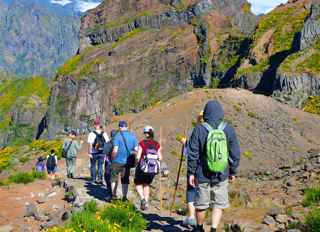 Fra Funchal: Madeira Peaks Mountain Walk