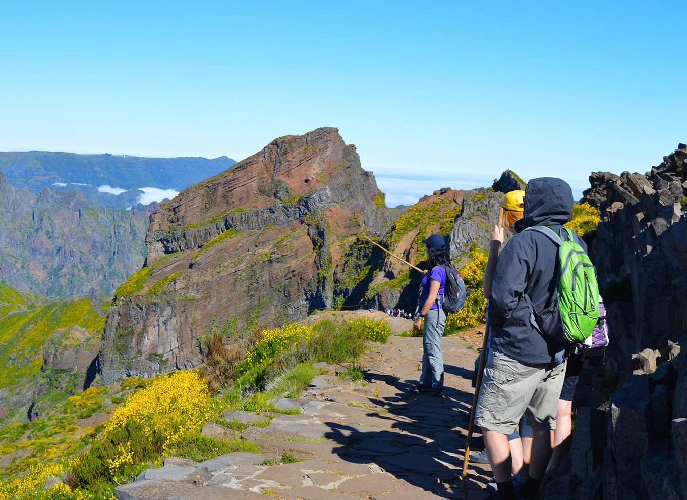 Fra Funchal: Madeira Peaks Mountain Walk