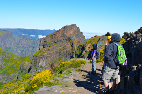 Vanuit Funchal: bergwandeling langs toppen van MadeiraPrivéwandeling langs de toppen van de Madeira