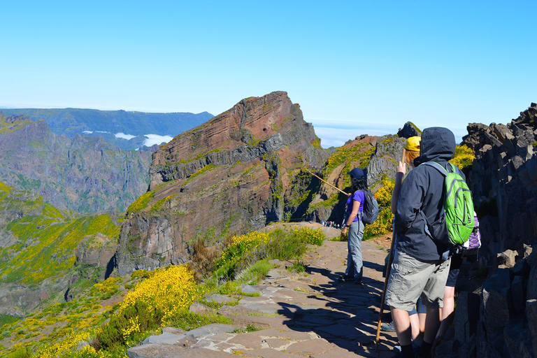 Ab Funchal: Wanderung zu den Gipfeln MadeirasAb Funchal: Private Madeira Berg-Wanderung