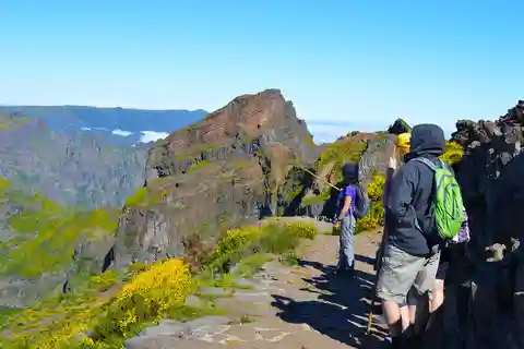 Depuis Funchal : Randonnée dans les montagnes de Madère