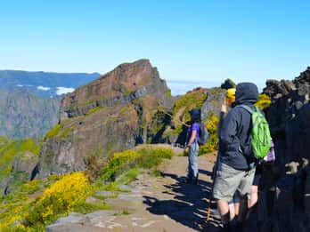 From Funchal: Madeira Peaks Mountain Walk