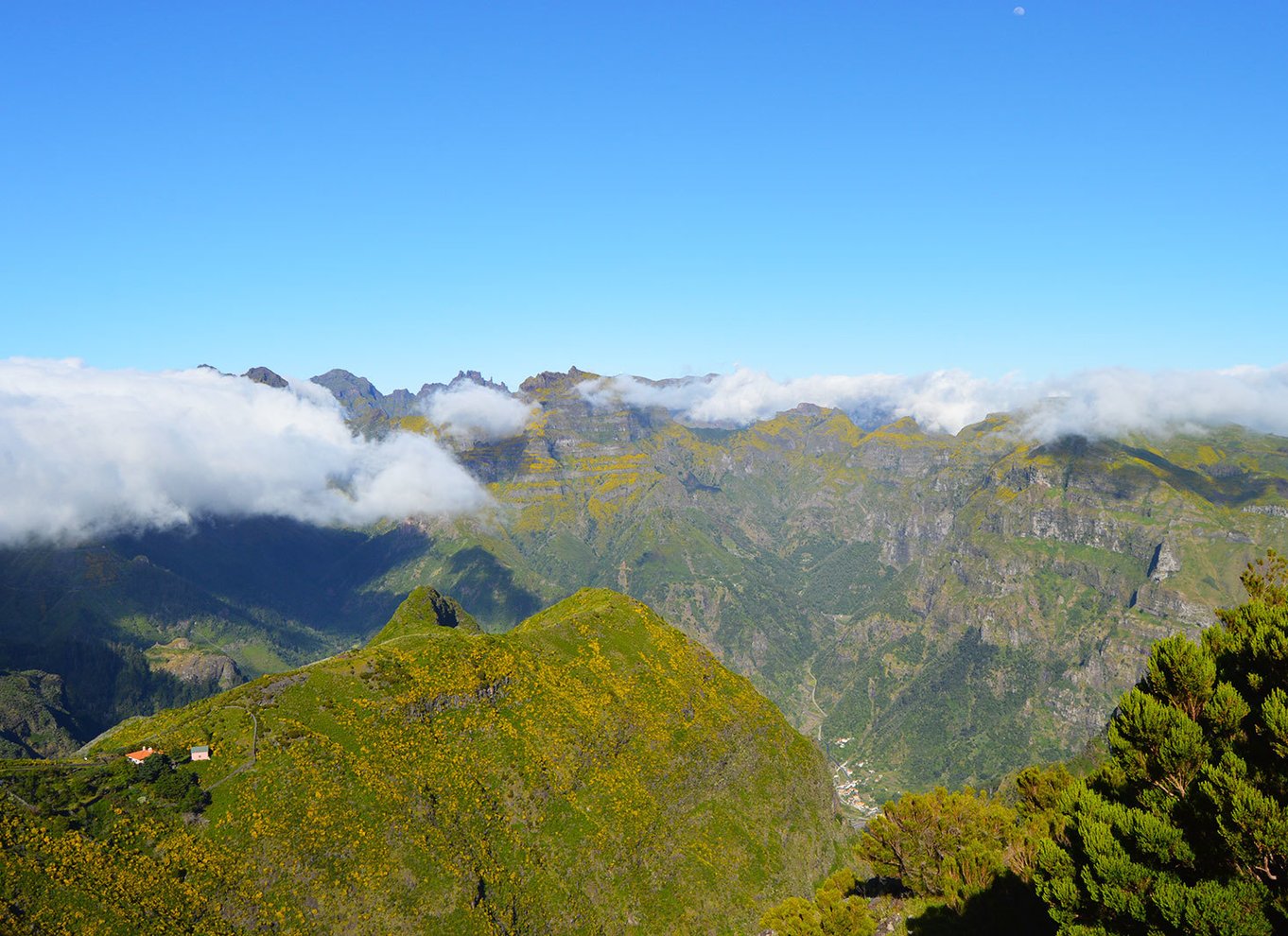 Fra Funchal: Madeira Peaks Mountain Walk