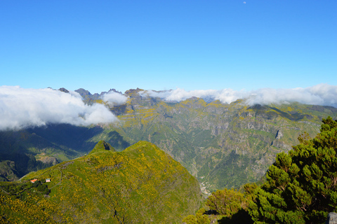 Vanuit Funchal: bergwandeling langs toppen van MadeiraPrivéwandeling langs de toppen van de Madeira