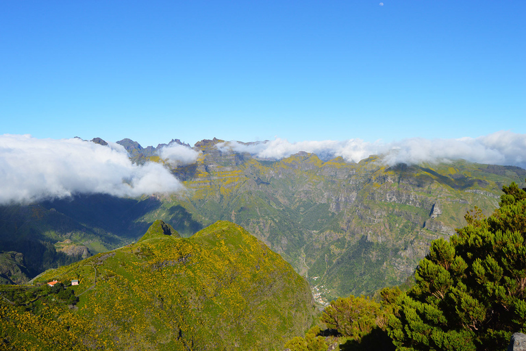 From Funchal: Madeira Peaks Mountain Walk Madeira Peaks Mountain Walk