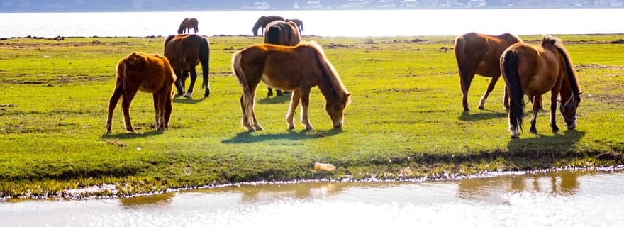 Au départ de Lijiang : Circuit d'aventure de 6 jours de Lijiang à Shangri-La