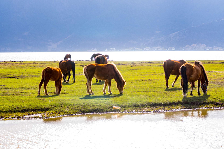 Vanuit Lijiang: 6-daagse avontuurlijke tocht van Lijiang naar Shangri-La