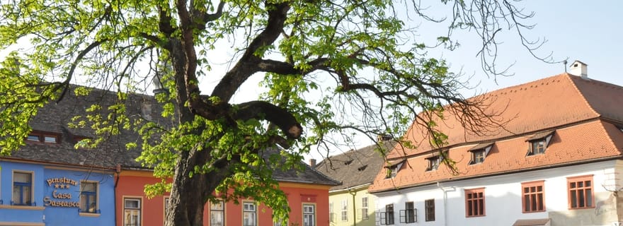 Visite à Sighisoara Legends & Landmarks A Walk Through Time (Les légendes et les monuments de Sighisoara : une promenade dans le temps)